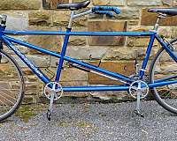54-cm-drum-brake-bicycles