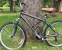 grey-comfort-bicycle