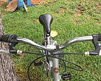 17-inch-silver-bicycles