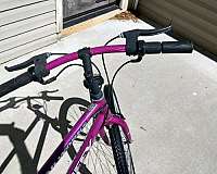 purple-15-speed-bicycles