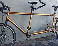da-vinci-designs-global-venture-26-bicycles