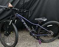 purple-small-bicycles