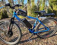 21-speed-aluminum-electric-bicycle