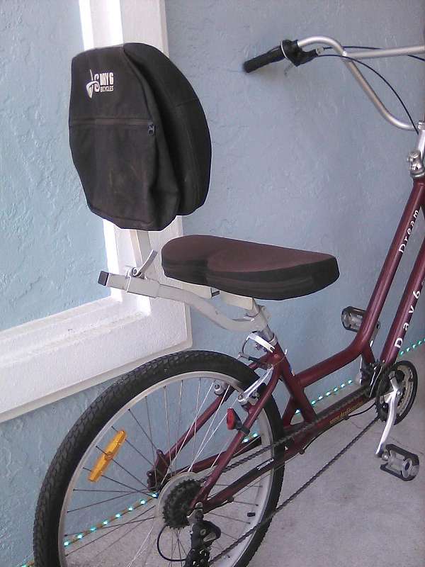 2011-comfort-bicycle