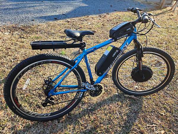 2024-bicycles