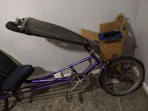 purple-bicycles